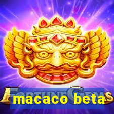 macaco beta