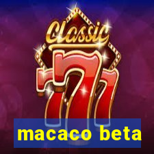 macaco beta