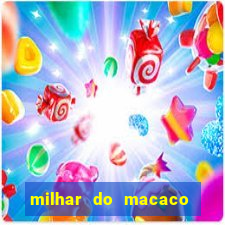 milhar do macaco que mais saem no jogo do bicho