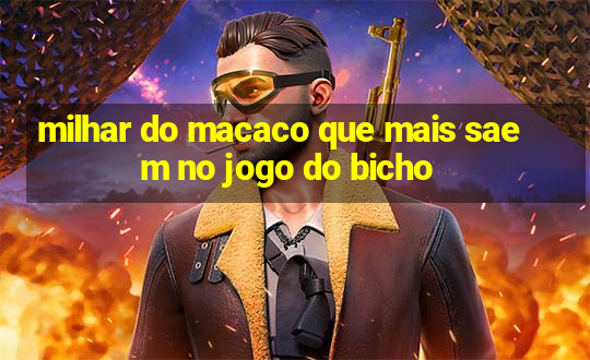 milhar do macaco que mais saem no jogo do bicho