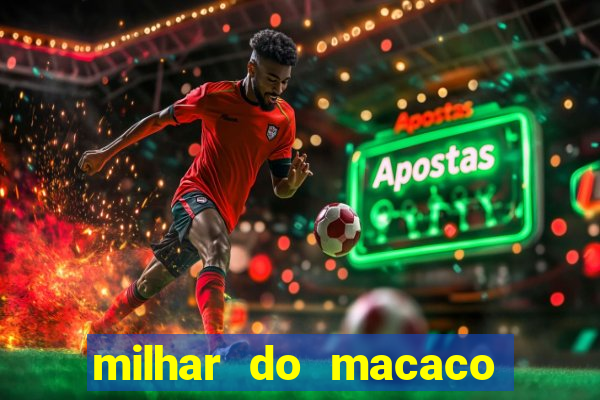 milhar do macaco que mais saem no jogo do bicho