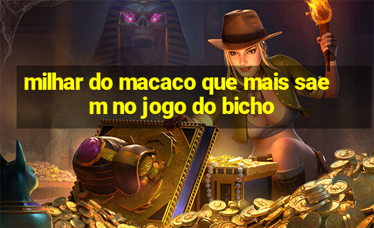 milhar do macaco que mais saem no jogo do bicho