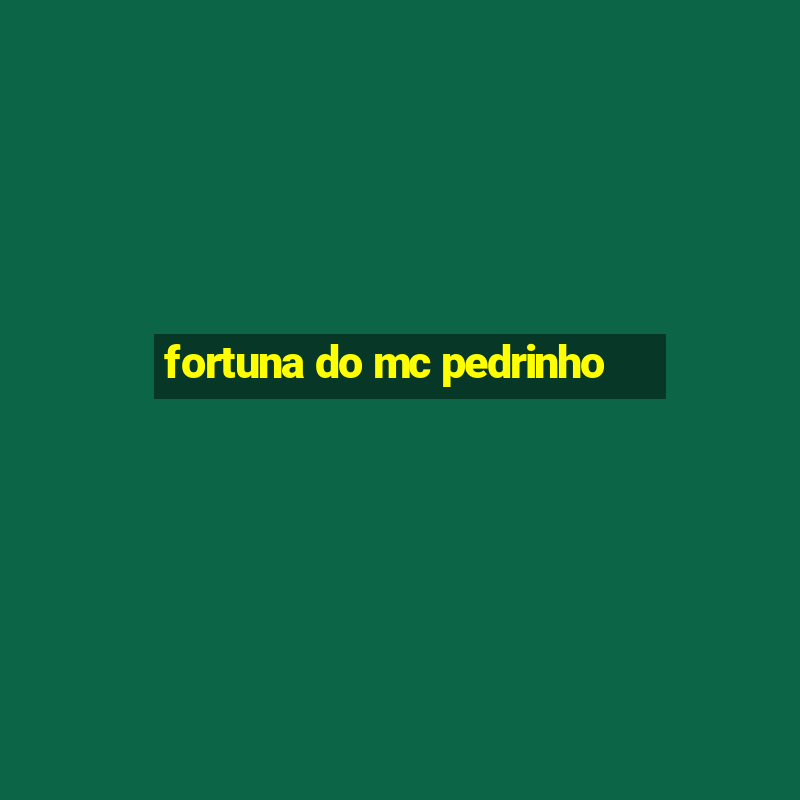 fortuna do mc pedrinho