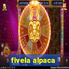 fivela alpaca