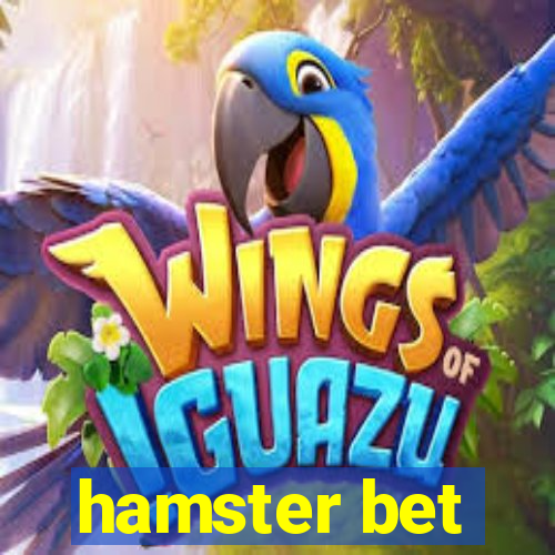 hamster bet