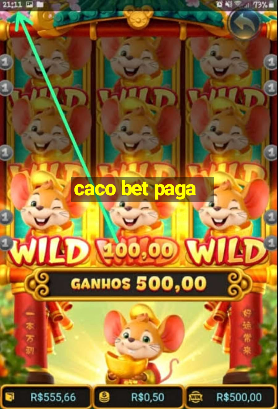 caco bet paga