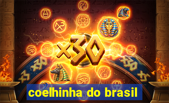 coelhinha do brasil