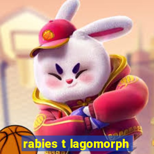 rabies t lagomorph