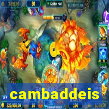 cambaddeis