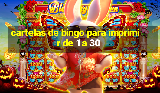 cartelas de bingo para imprimir de 1 a 30