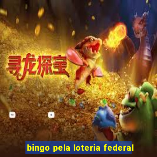 bingo pela loteria federal