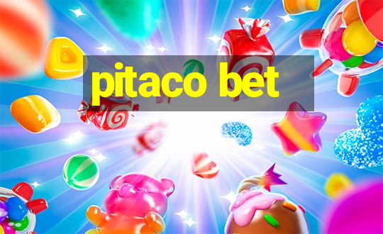 pitaco bet