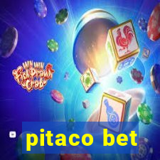 pitaco bet