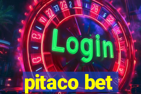 pitaco bet