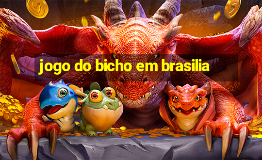 jogo do bicho em brasilia