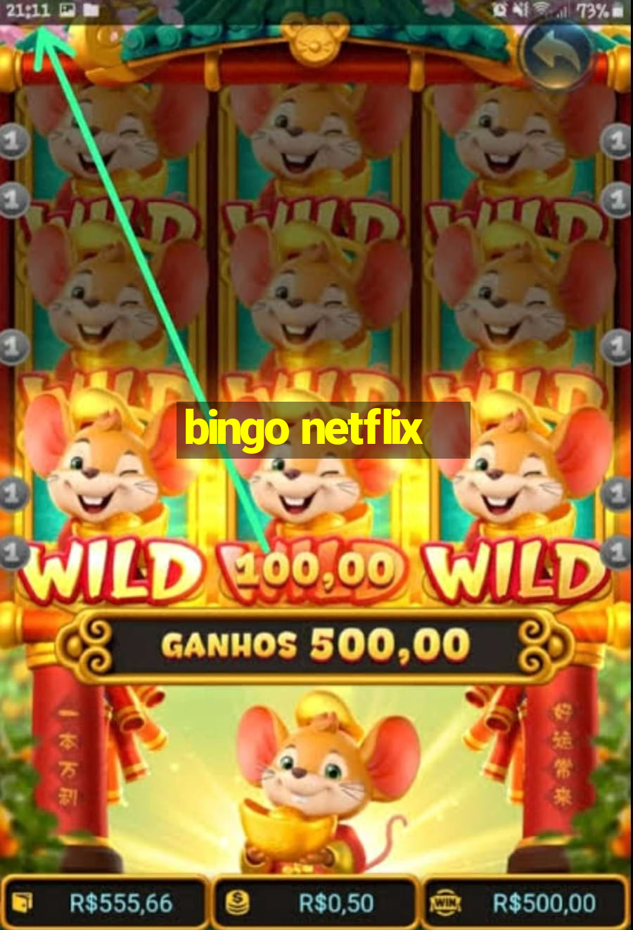 bingo netflix