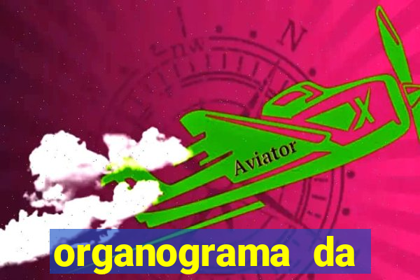 organograma da cacau show