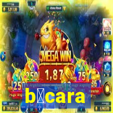 b谩cara