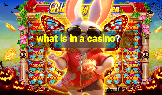 what is in a casino?