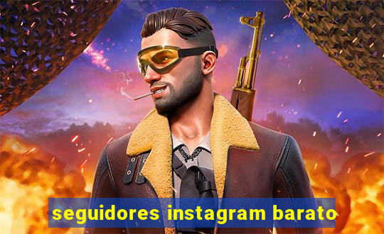 seguidores instagram barato