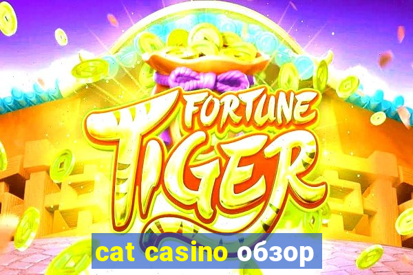 cat casino обзор