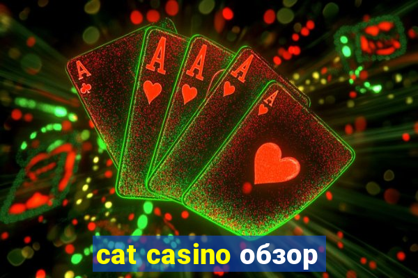 cat casino обзор