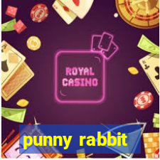 punny rabbit