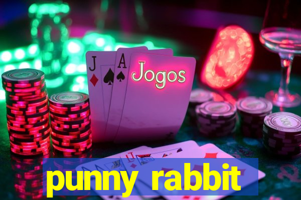 punny rabbit