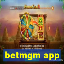 betmgm app