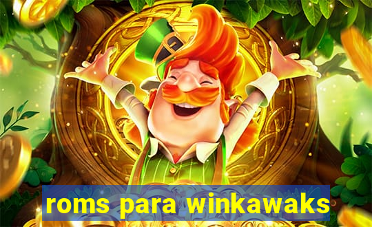 roms para winkawaks