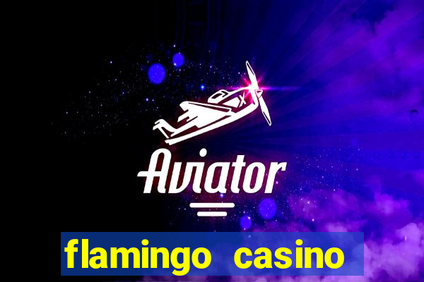 flamingo casino hotel las vegas