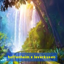 hoffenheim x leverkusen