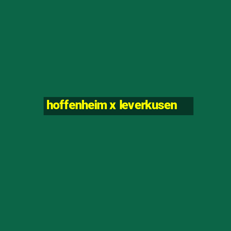 hoffenheim x leverkusen