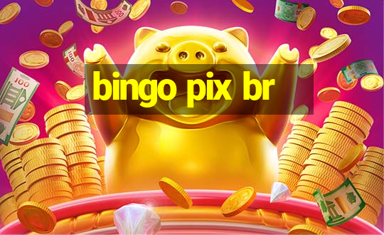 bingo pix br