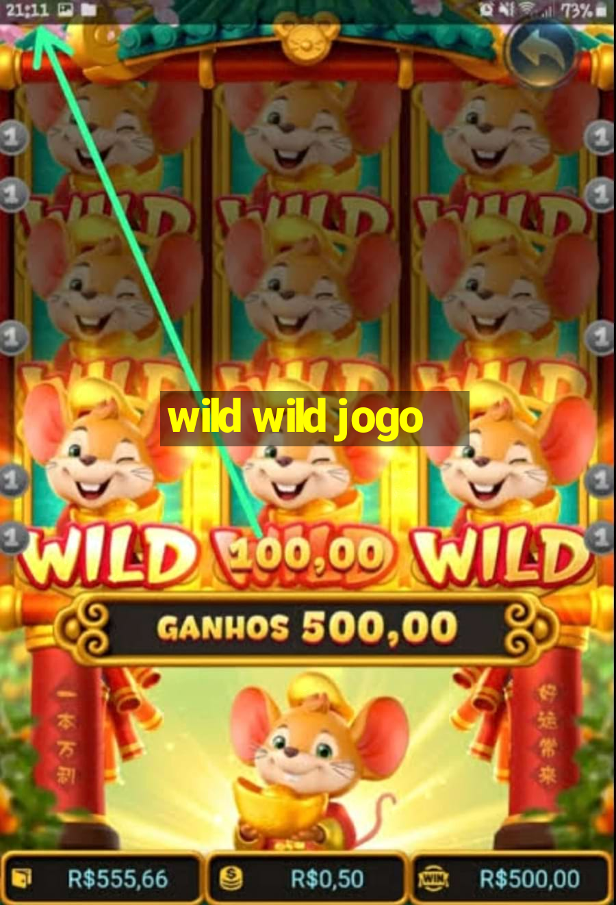 wild wild jogo