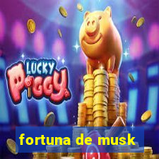 fortuna de musk