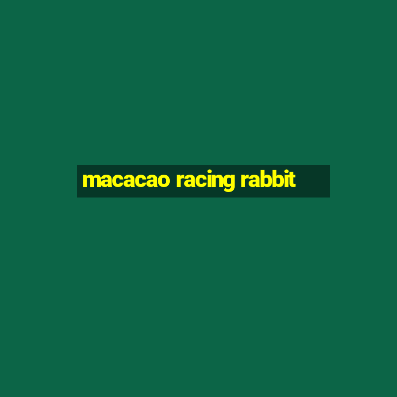 macacao racing rabbit