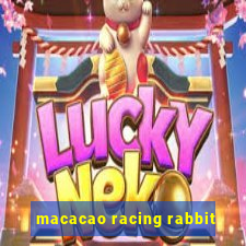 macacao racing rabbit