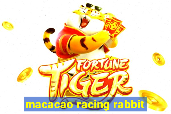 macacao racing rabbit