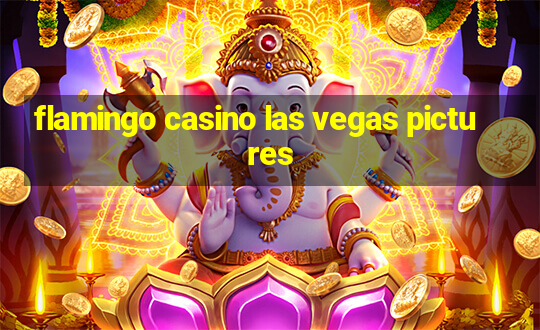 flamingo casino las vegas pictures