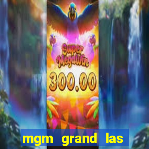 mgm grand las vegas hotel & casino