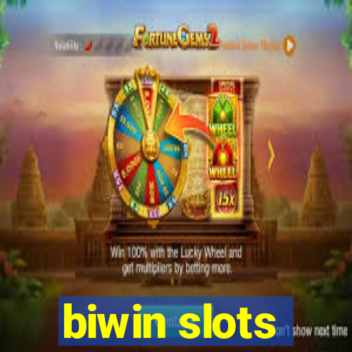 biwin slots