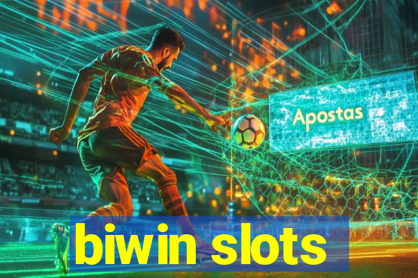 biwin slots