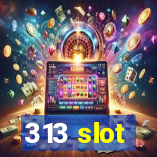 313 slot