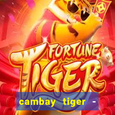 cambay tiger - seafood & meat