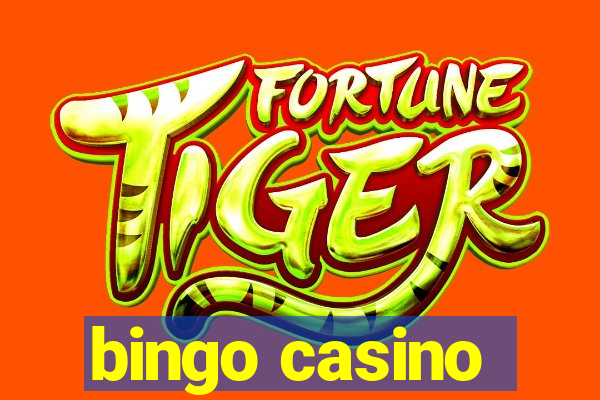 bingo casino