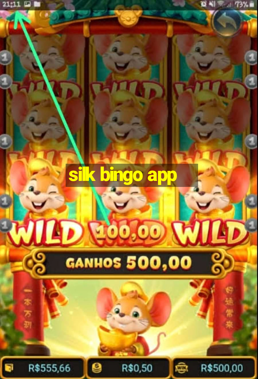 silk bingo app