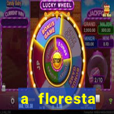 a floresta encantada meme