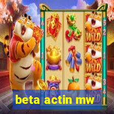 beta actin mw