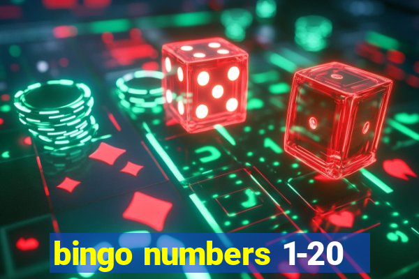 bingo numbers 1-20